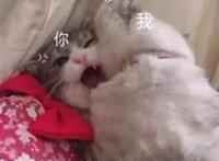 男朋友经常发污的表情 他是什么心态？