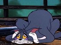 《猫和老鼠》你可曾因为穷而失去爱情?失恋的汤姆,映射残酷现实