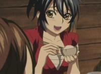 如何评价《魔乳秘剑帖》这部动漫?