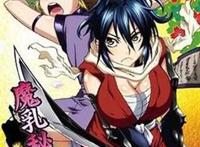 4.《魔乳秘剑帖》