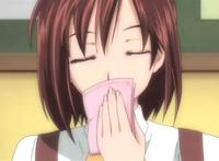 【acg介绍】虏ノ雫 前编 ～夏の豪华客船でされる