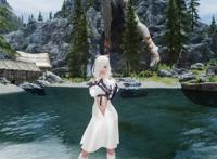 上古卷轴5 龙背上的骑兵3吉萝独立随从mod 上古卷轴5 龙背上的骑兵3吉萝独立随从mod