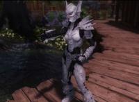 上古卷轴5:天际重制版 龙骑士套mod 上古卷轴5:天际重制版 龙骑士套mod