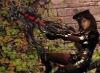 上古卷轴5斩女头要学哪个技能攻略