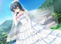 星空へ架かる桥aa