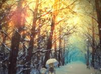 wallpaper engine 八云紫雪景壁纸