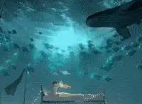 《wallpaper engine》苏醒于深海之中的床上动态壁纸