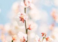 wallpaper# #壁纸# #锁屏# #背景# #手机壁纸