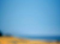 iphone parallax wallpaper ipad ocean beach flower photo hd