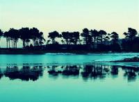 blue nature forest iphone 5 wallpaper