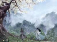 魏婴 跟我回姑苏