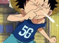 ピータン99アニメ99海贼王03