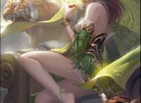 孙鲁班三国杀透视图