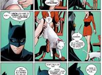 蝙蝠侠与猫女:漫长的婚礼