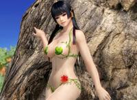 psv版的是海伦娜和穗乃果