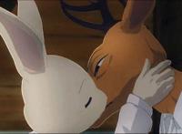 属实神番《动物狂想曲》 属实神番《动物狂想曲》