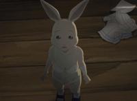 《动物狂想曲》开车 兔女狼