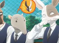 beastars兔子和很多人的疯狂爱情无修本子