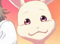 有哪些动物狂想曲/beastars好看的头像?