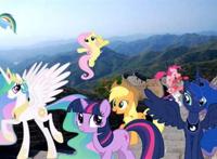 从da站上搬的图小马宝莉生存游戏吧