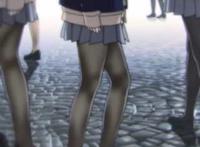 新番速递:裤袜视界!