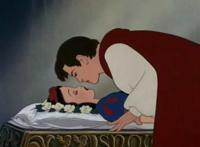              迪士尼动画里的十四位公主