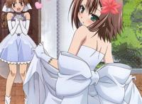 木下秀吉《笨蛋,测验,召唤兽》