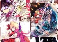 [理性蒸发a ] 尼禄和玉藻前百合