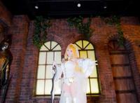 【动漫cos】(c90)blessings rose