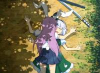 妖梦果然比受兔强.