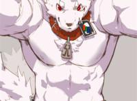 furry(谨慎食用可能会有r18)