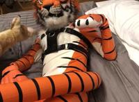 兽装常伴有性幻想或恋物现象