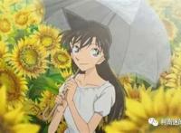 毛利兰的25个秘密，大家知道多少？