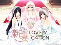 岛国黄油游戏：请自备手纸