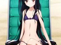 黑之王黑雪姬大型图楼加速世界吧