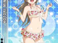 start:dash!lovelive!南小鸟