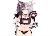 猫娘御姐萝莉任你选福利图集 喵