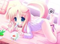 喵娘本子云 喵娘的头像