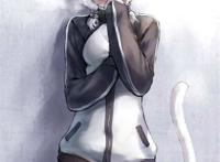 性感猫女,可爱猫娘还有猫咪面包车