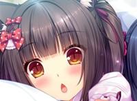 出自《猫娘乐园》.动漫头像.