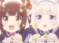 新番猫娘乐园萌翻全场!