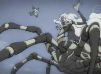 这是一只上半身是萝莉,下半身是蜘蛛的蜘蛛娘.