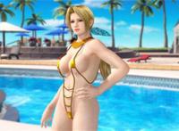 ns沙滩排球3果体魔改这次可能连布料都不想用了