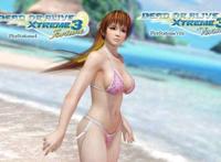 switch沙滩排球3绯红 特典服装