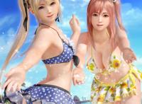  沙滩排球3的壁纸的无水印版