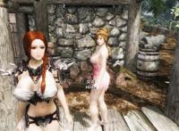 上古卷轴5怎么让npc互相打架