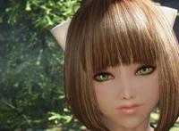 上古卷轴5天际女随从费伊