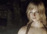 《上古卷轴5:天际》精美细腻mod艺术截图