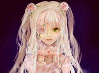 蔷薇少女雪华绮晶图片