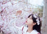 春天樱花开了,看看樱花树下唯美的shika小鹿鹿